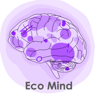 EMM-Logo